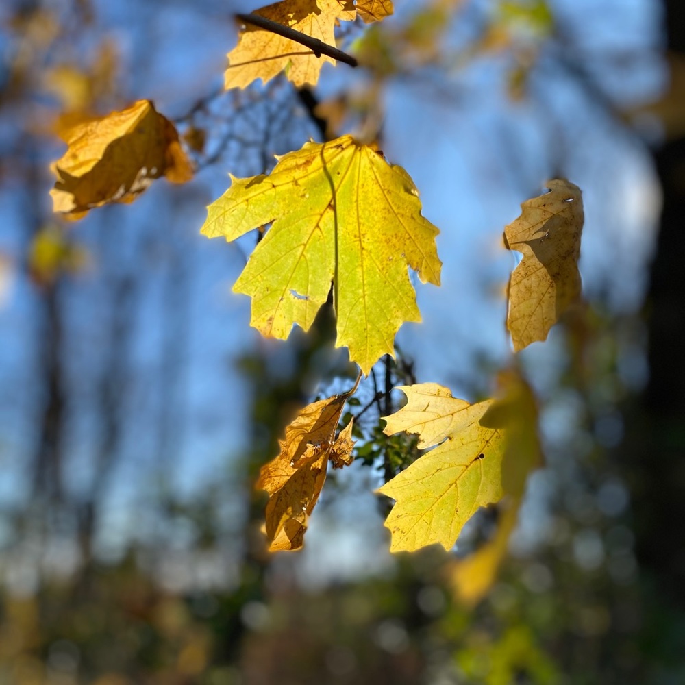 Meet your Posher, Jeff